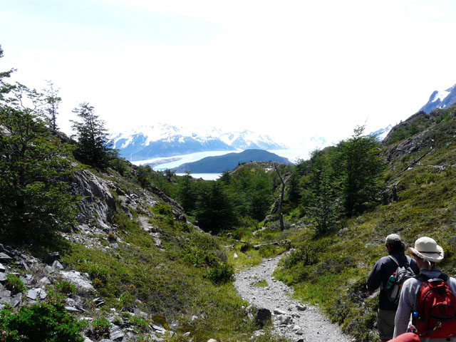 �����ɃO���C�X��