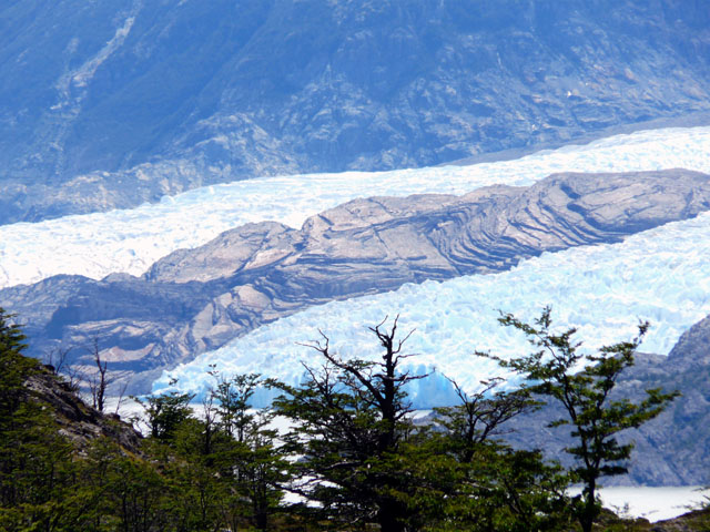 ���X�̌������̃O���C�X��