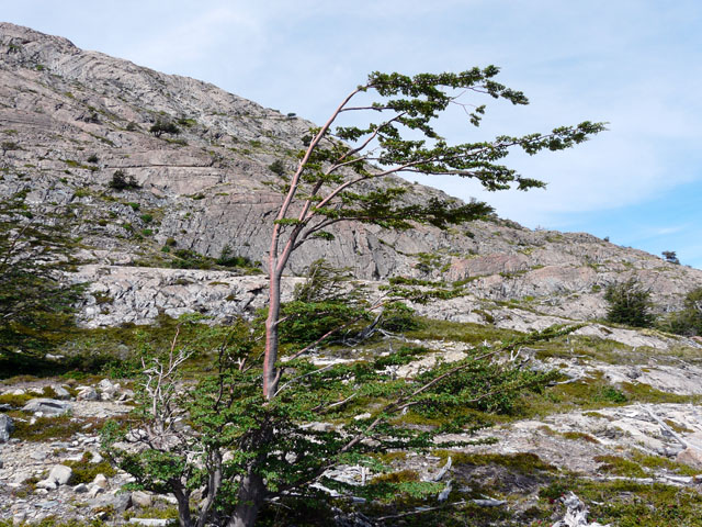 �����ŋȂ�������