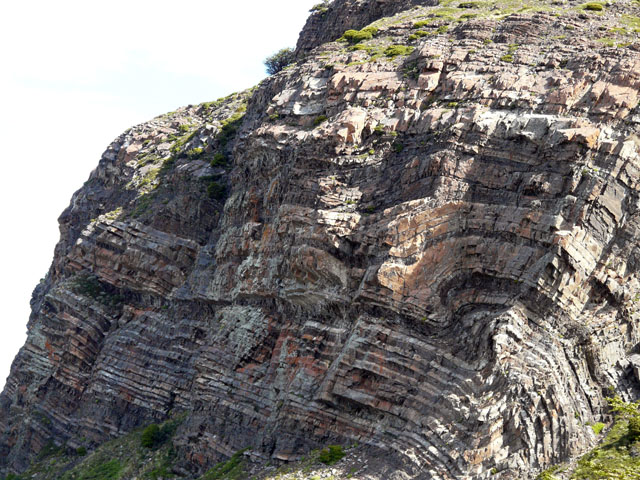 �X�͂ō�ꂽ�Ζ�