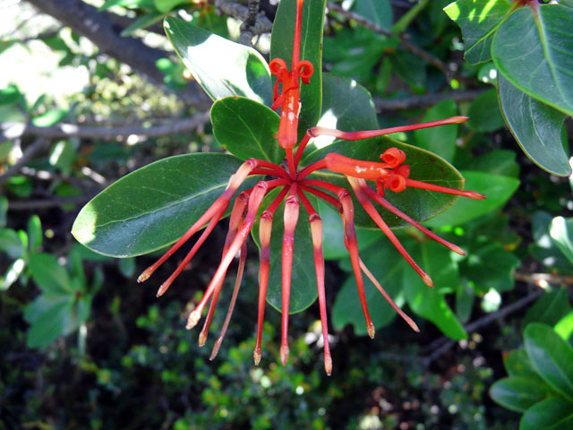 �m�[�g���̉�