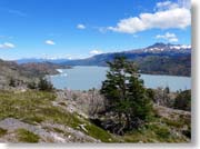 �O���C��