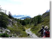 �����ɃO���C�X��