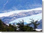 ���X�̌������̃O���C�X��