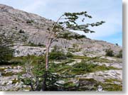 �����ŋȂ�������