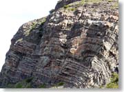 �X�͂ō�ꂽ�Ζ�