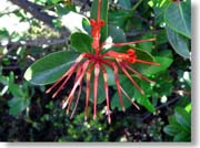 �m�[�g���̉�