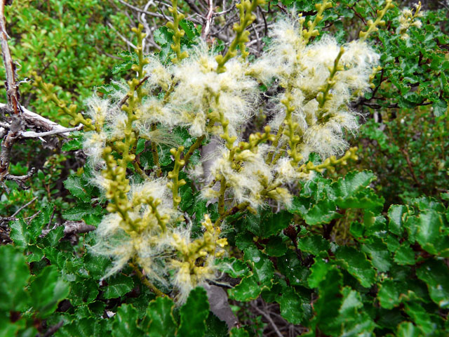 ���O�̂킩��Ȃ���