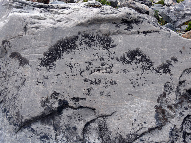 �A���̉���