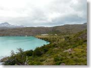 �y�I�G�Ί݂����