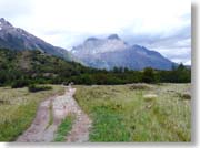 �ڂ̑O�Ƀp�C�l�̊p