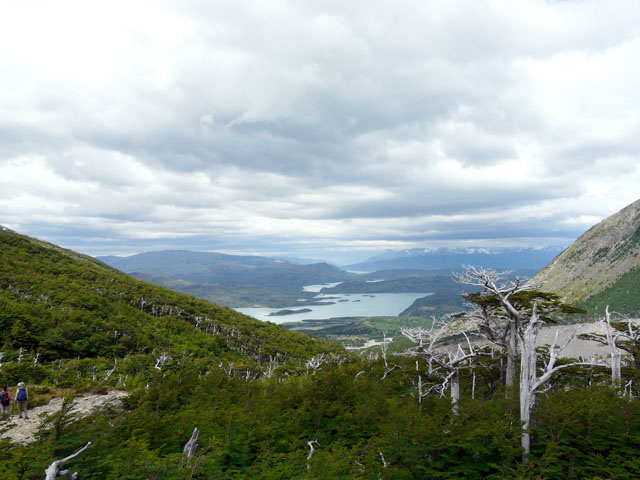 �����Ɍ΂P