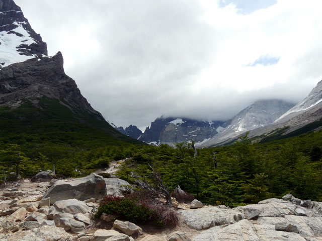 �u���^�j�R�E�L�����v����ʂ̌i�F