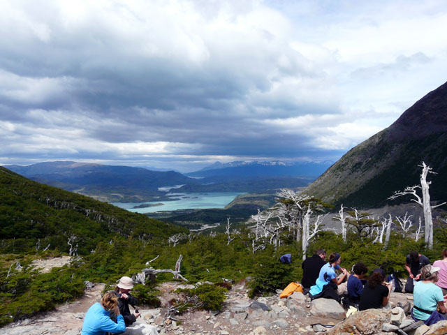 �����Ɍ΂Q