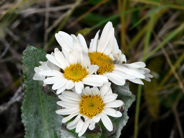 ���O�̂킩��Ȃ��ԂP