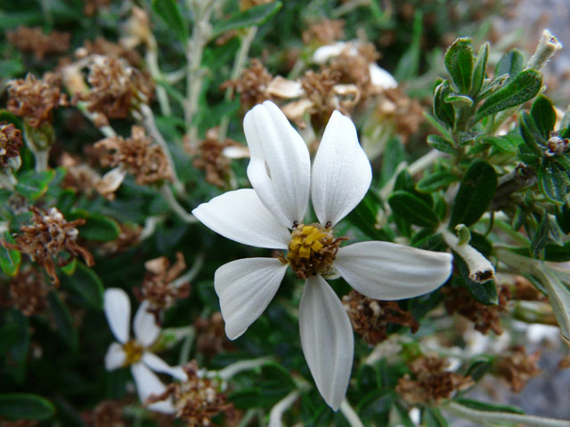 ���O�̂킩��Ȃ��ԂQ