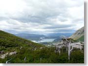 �����Ɍ΂P