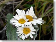 ���O�̂킩��Ȃ��ԂP