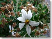 ���O�̂킩��Ȃ��ԂQ