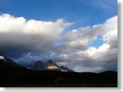 �p�C�l�ɓ��R