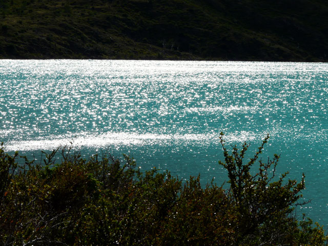 ����P���y�I�G��