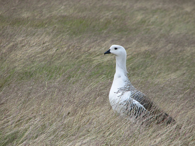 �����e��