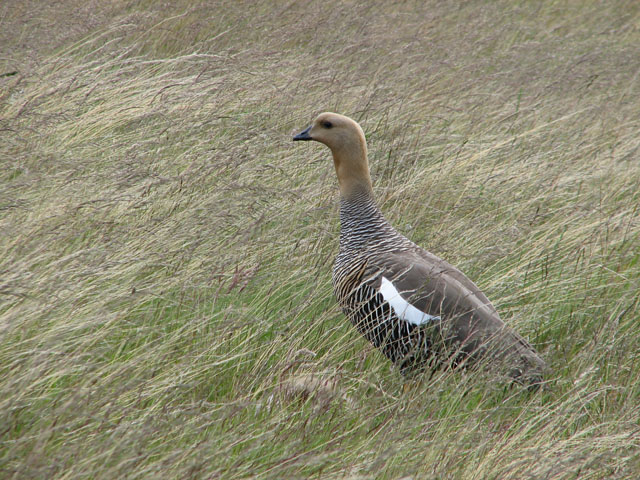 ���F���e��