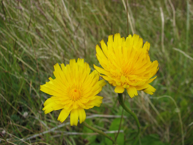 ���F����