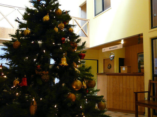 ���t�q�I�̃��Z�v�V����