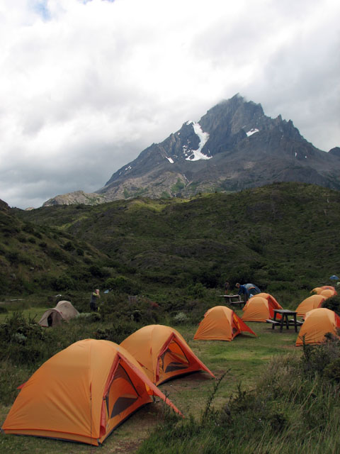 �e���g�ƃp�C�l