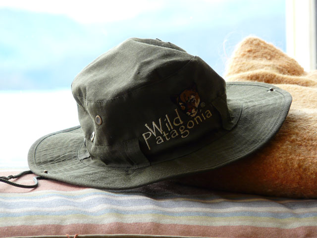 ���n�Ŕ������X�q