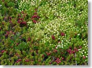 ���t�q�I�O�̑���