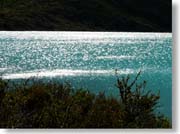 ����P���y�I�G��