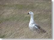 �����e��