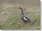 ���F���e��