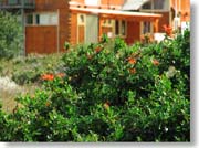 ���ԂƏ���