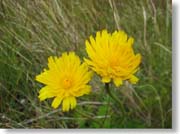 ���F����