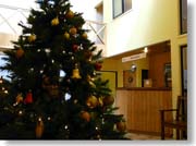 ���t�q�I�̃��Z�v�V����