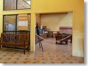 ���t�q�I�̐H��