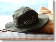 ���n�Ŕ������X�q