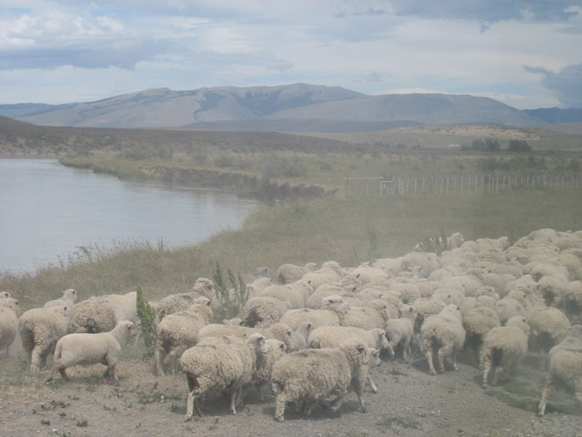 ���H�����f����r�B