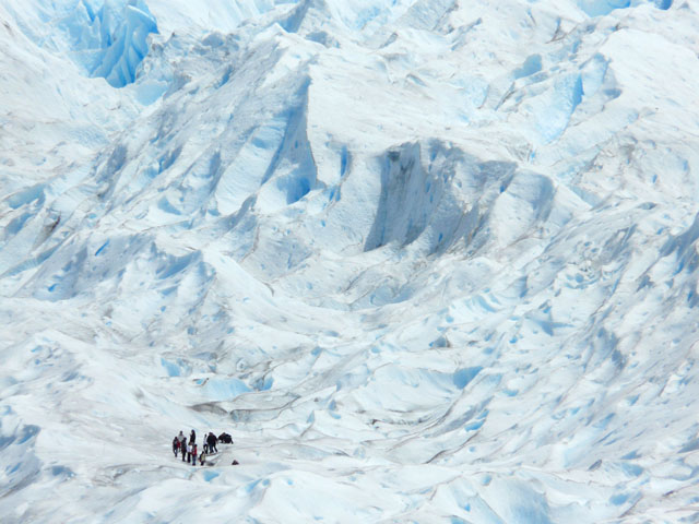 �X��g���b�L���O���y����ł���l�B