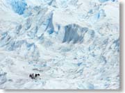 �X��g���b�L���O���y����ł���l�B