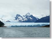 �����m�X�͉��i