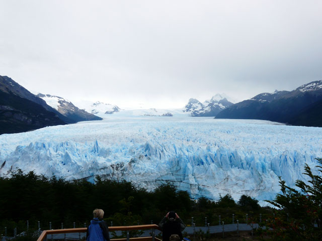 �����m�X�͑S�̂P