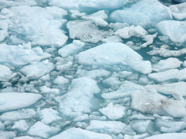 �΂ɕ����Ă���X