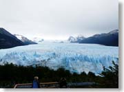 �����m�X�͑S�̂P