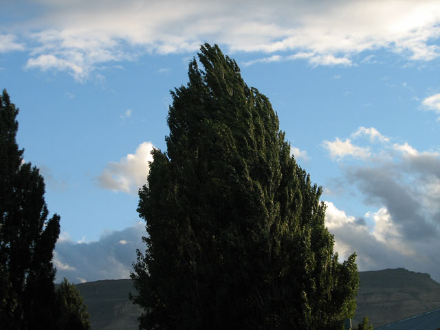 ���ɗh����