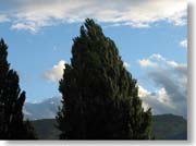 ���ɗh����