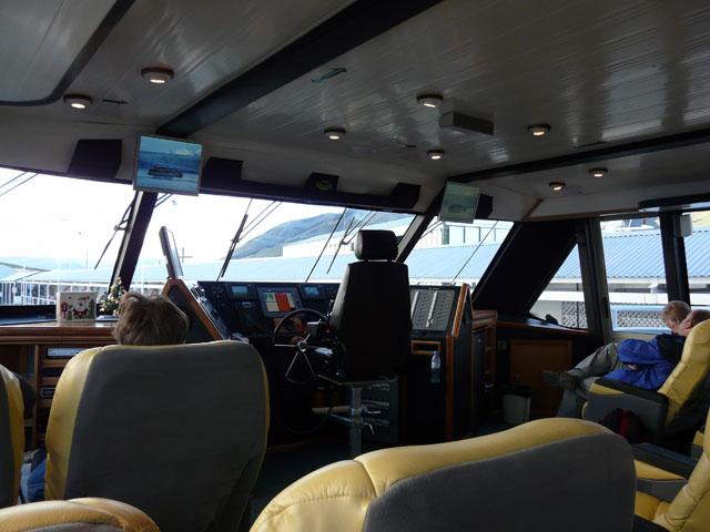 VIP�D���̒�